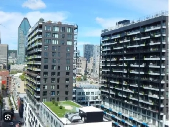 Room for Rent in Griffintown / Old Port Montreal Image# 6
