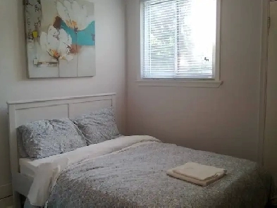 Furnished Downtown Studio Image# 1