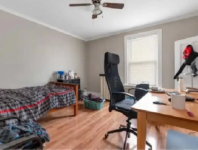 Student Room for Rent Near McMaster - $800 Image# 1