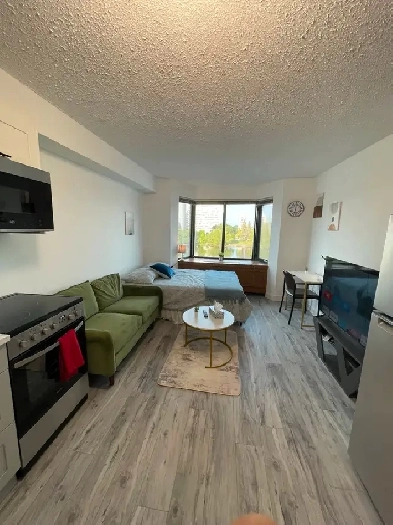 FURNISHED STUDIO - NEAR UOTTAWA Image# 4