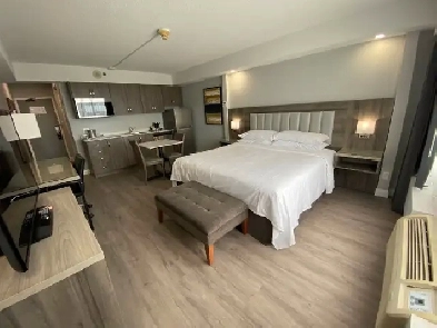 STUDIO APARTMENT Image# 1