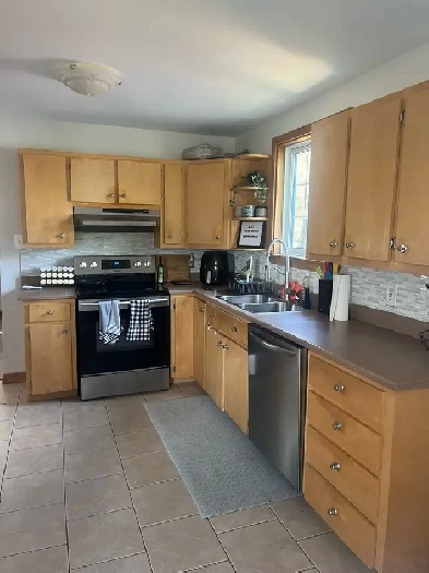 roommate wanted! Image# 6