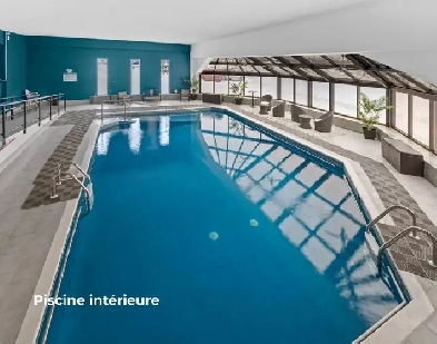 Appartement à louer Image# 3
