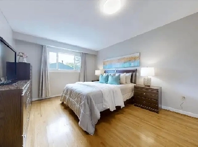 private room for rent. finch/don mill. masteroom on 2nd floor Image# 1