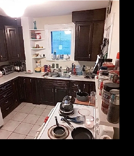 Room For Rent (Downtown Apartment) Dog & Cat Friendly - Open Now Image# 9