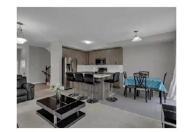 Self contained basement for rent Manotick Image# 1