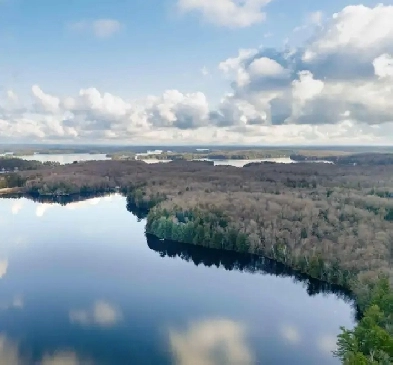 5 acre muskoka lot, 314 ft waterfront   trusted builder contacts Image# 3