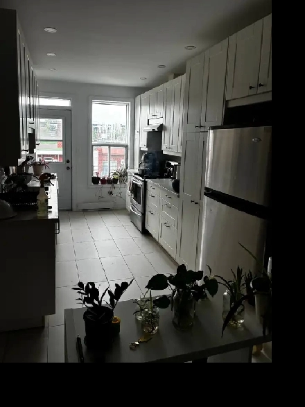 Appartement 4 1/2, Petite Italie Image# 6