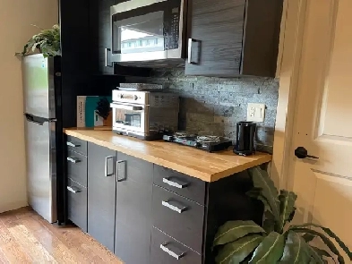 1 bdrm beautiful fully furnished apt Image# 5