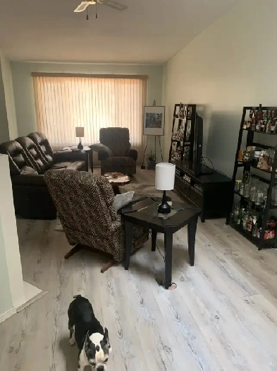 For Rent Image# 4