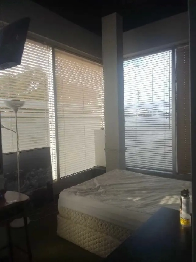 room for rent $700 Dixie Dundas 647-533-⁰105 Image# 1