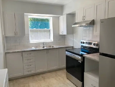 Newly Renovated 2 Bedroom Apartment near University/Hospital Image# 1