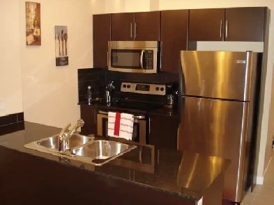 Furnished 2 bedroom exec condo located in Downtown Image# 10