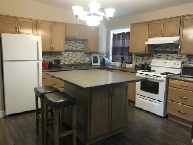 Large One Bedroom Apartment Image# 7