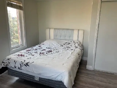 spacious room  for rent Image# 2