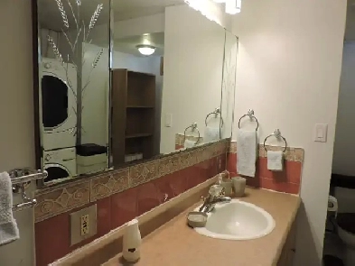 Bsmt Brentwood, All In, Sep Entrance/Furnace, Image# 8