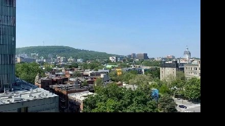 À SOUS-LOUER (4 mois) / TO SUBLET (4 months) Image# 1