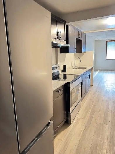 House for rent in downtown Winnipeg William Ave Image# 5