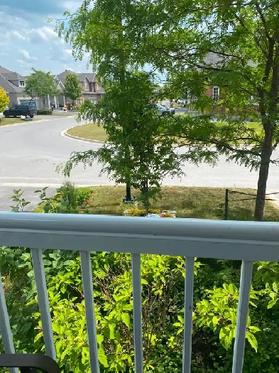 Room for rent in kemptville on Image# 1