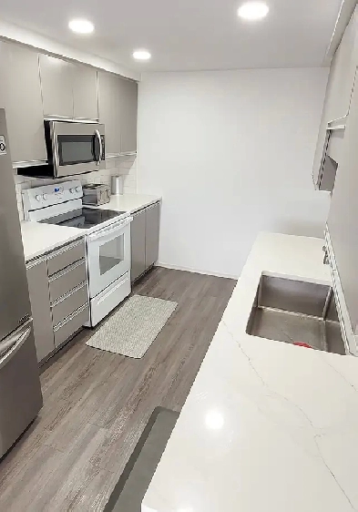 VERY CLEAN, FURNISHED, with parking & central location Kitchener Image# 1