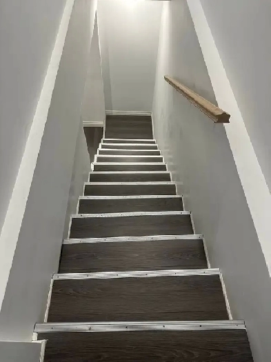 Cozy 2-Room Basement for Rent Image# 4