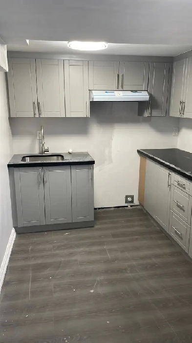 Brand new and spacious basement is available Image# 1