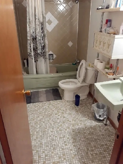 Room near Seneca College Image# 6