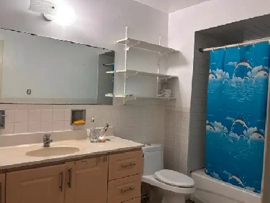 3-bedroom house at Leslie St and Cummer Ave Image# 6
