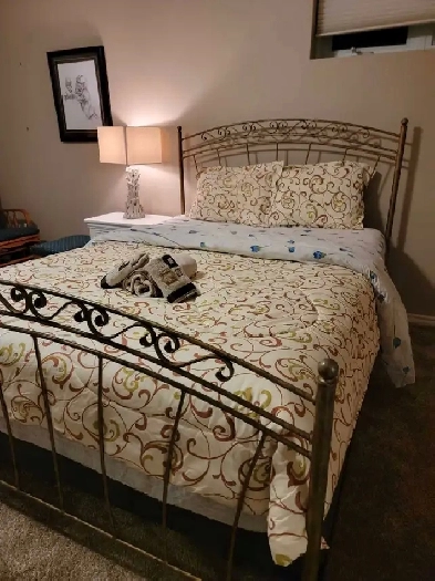 BEAUTIFUL ROOM NEARBY SASKPOLYTECH Image# 8