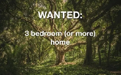 Wanted: detached 3 bedroom (or more) home Image# 1