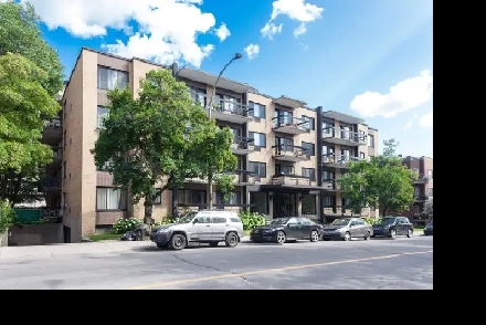 one bedroom apartment for rent near UdeM - ID 4083 Image# 1