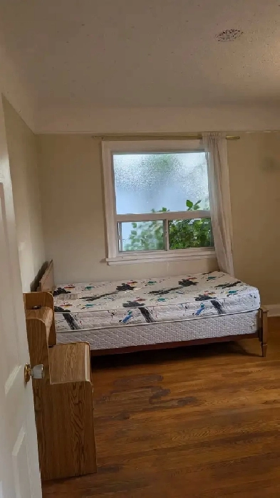 Main Floor Room for Rent – Cedar Street, Great Location! Image# 1