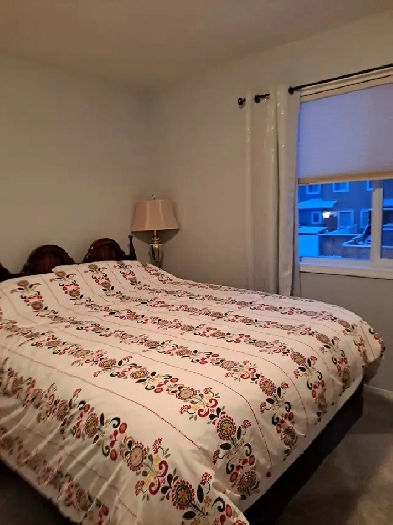 Rent large bedrm with full bathroom (working or student) 800.00 Image# 1