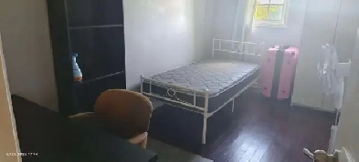 York university village Image# 1