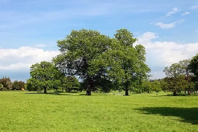land/vacant land/farmland Image# 1