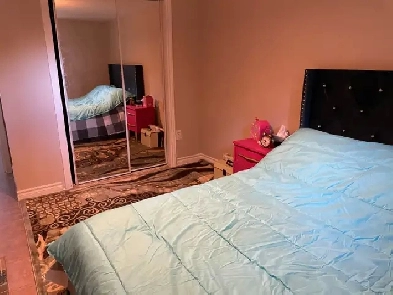 Room for rent in basement near royal york station Image# 1