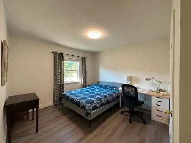 Large private room-short walk to Bloor/Islington subway station Image# 1