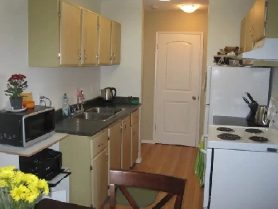 1 bedroom apartment for rent September 1, 2025 Image# 5