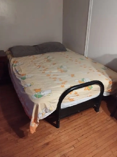 A nice room for rent at St Clair and Keele for male professional Image# 1