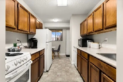 Onyx - 1 Bedroom, 1 Bathroom Apartment for Rent Image# 13