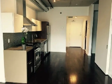 Downtown Luxury Condo for Rent for September 1st Image# 5