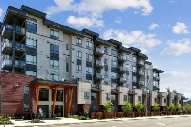 2 Bedroom available at 1229 Richter Street, Kelowna Image# 8