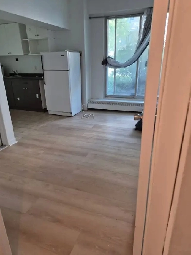 BEAU PETIT 3 ½,LIBRE/ RÉNOVÉ,CDN/ Près Hôpital Juif, Ste-Justine Image# 1