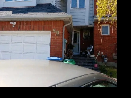 Only Girl Accomodation Near Sheridan College Brampton Image# 1