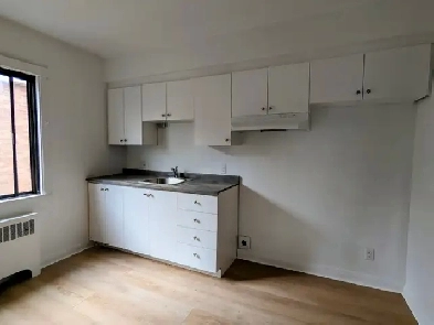 BEAU GRAND 4½ RÉNOVÉ LIBRE DANS ROSEMONT-ST-MICHEL Image# 1