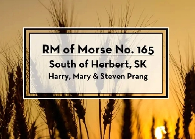 Land for Sale by Tender - RM of Morse No. 165 Image# 1