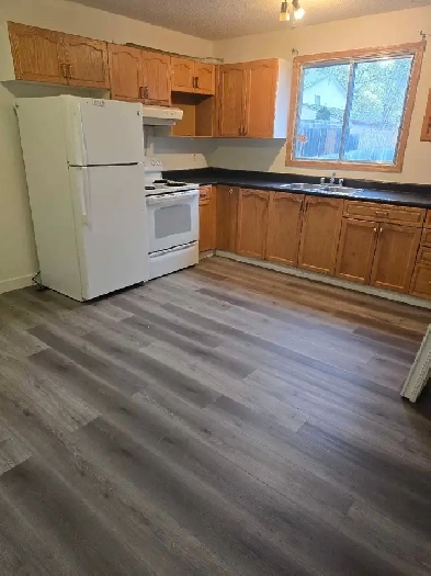 House for Rent Image# 3