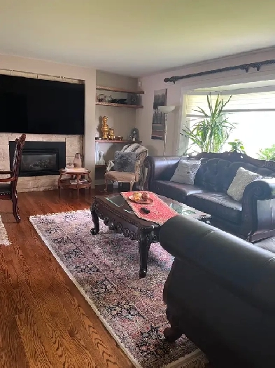 4 bedroom house for rent available Sept / Alta Vista Image# 9