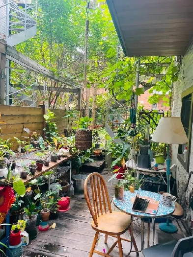 Apartment for Rent in Plateau