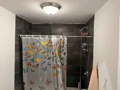 appartement à louer Image# 1